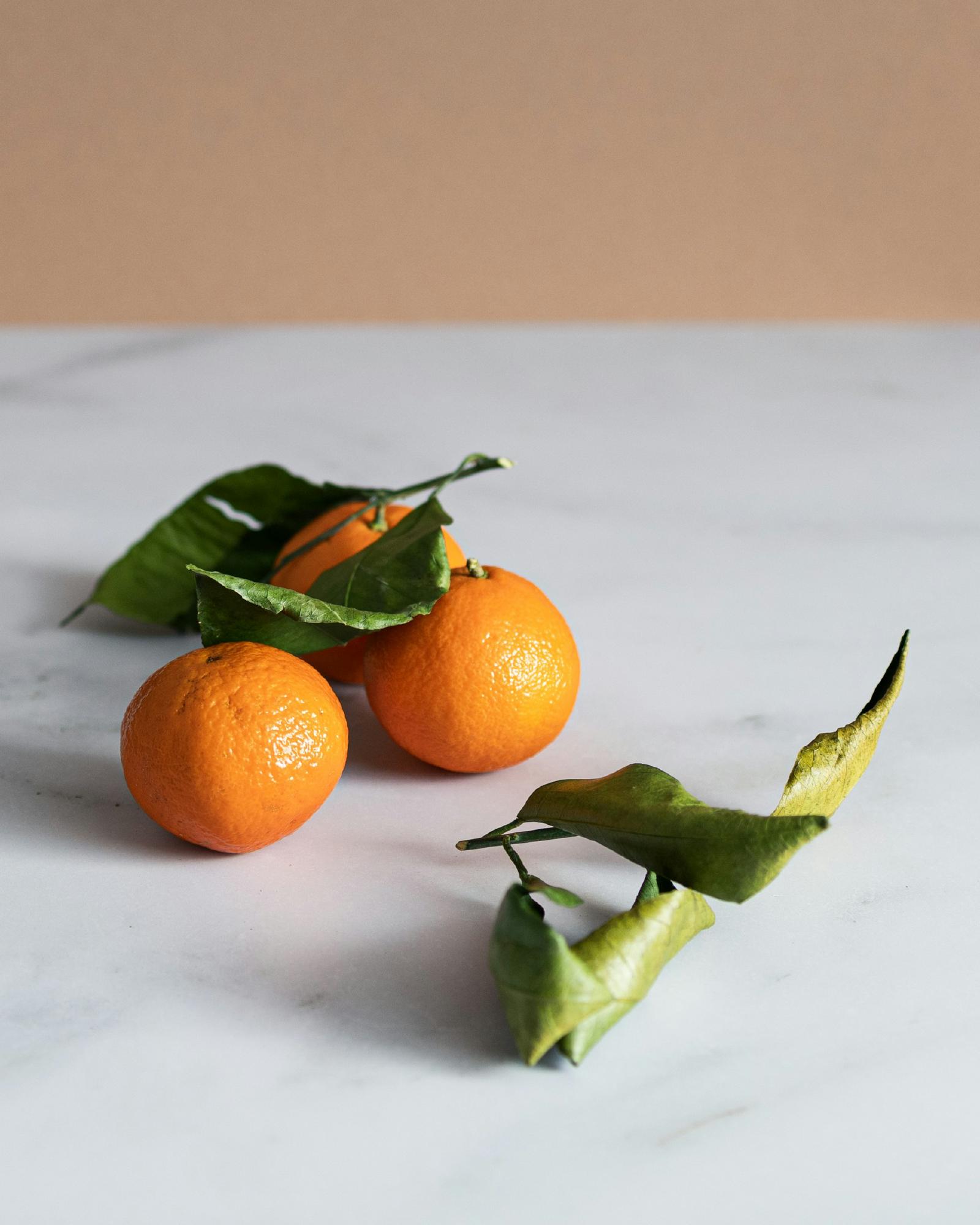 Still Life with Fruit
