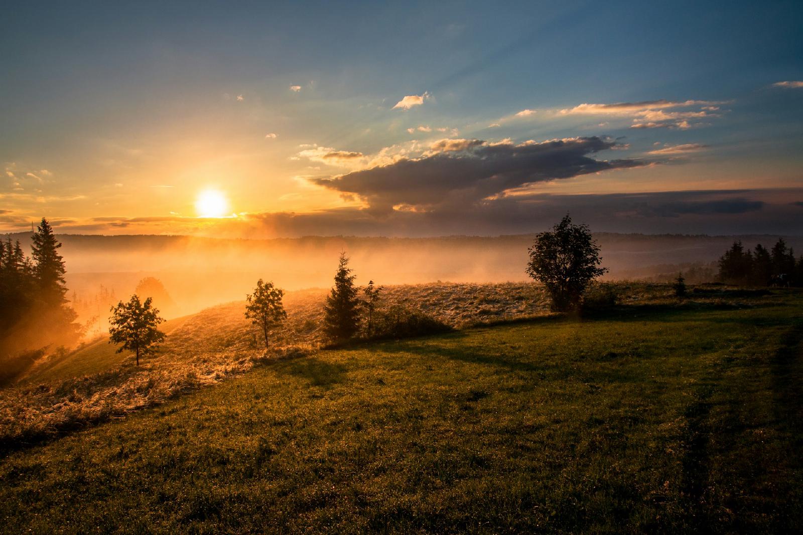 Sunset Over the Meadow